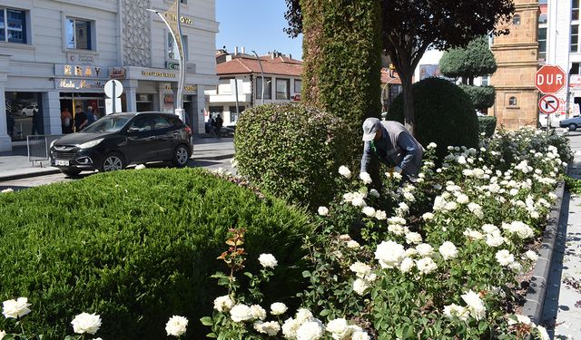 Yozgat’ta Refüj Değil, Açık Hava Sanat Galerisi! Bir bakan bir daha bakıyor