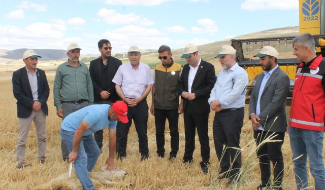 Yozgat Sarıkaya’da Geleneksel Hasat Günü Coşkusu
