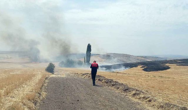 Yozgat'ta buğdayı elektrik mi yaktı?