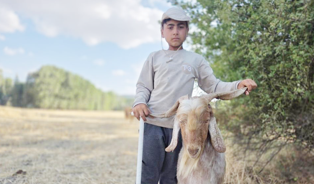 Yozgat’ta Küçük Çiftçinin İlham Kaynağı Görenleri Şaşkına Çeviriyor