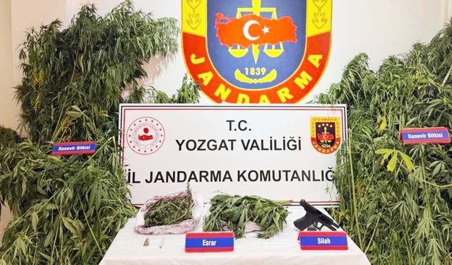 Yozgat’ta Uyuşturucu Operasyonu: Kök Kenevir ve Esrar Ele Geçirildi