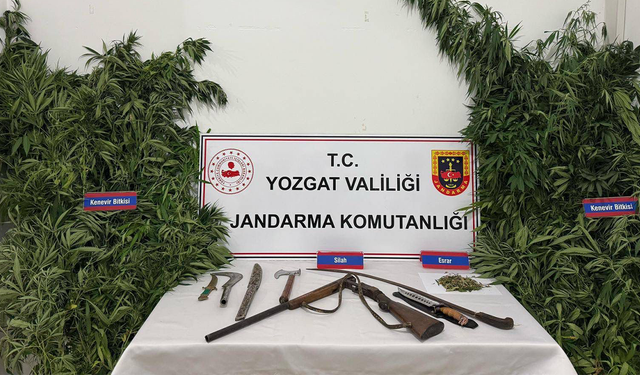 Yozgat’ta Kenevir Tarlasına Operasyon: Cephanelik Gibi Ev…