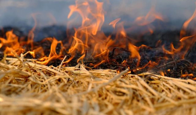 Sorgun’da Anız Yakan Şahsa Para Cezası