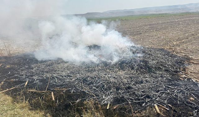 Yozgat Yerköy’de Anız Yaktı jandarmaya yakalandı