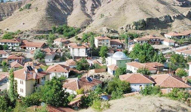 Aydıncık hangi soydan gelir? Aydıncık’ın kökenini biliyor musunuz?