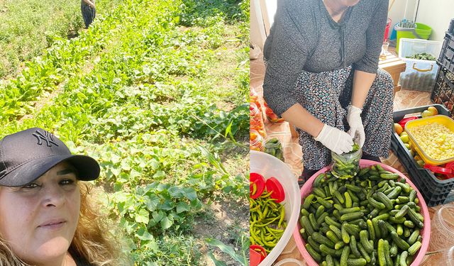 Yozgat'ta bahçeden sofraya turşu zamanı! Çayıralan'ın hamarat kadınları
