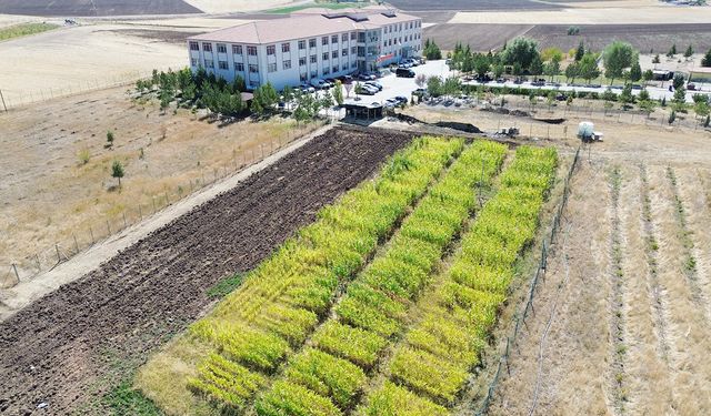 Yozgat’ın Boğazlıyan İlçesi’nde uygulamalı eğitim