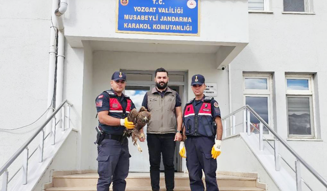 Yozgat'ta Jandarma'nın güvenli kollarında bu kez bir kartal var!