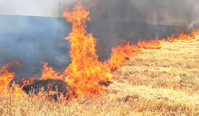 Yozgat Saraykent’te Anız Yakan Şahsa Ceza!