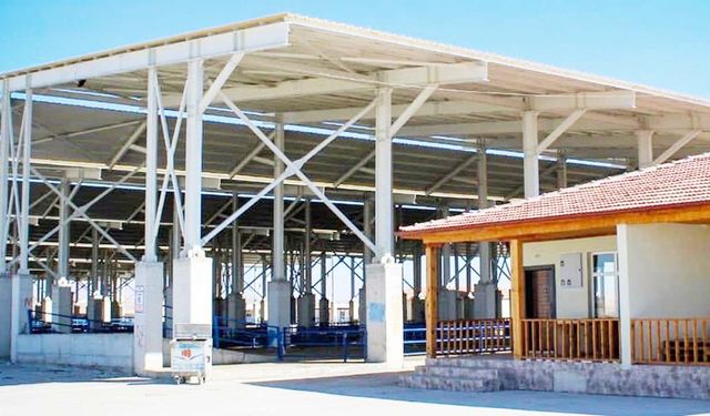 Yozgat’ta Şap Hastalığı Riski Artıyor: Boğazlıyan Hayvan Pazarı Kapandı