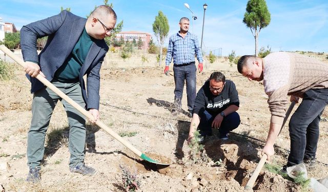 Mezuniyetinize Yeşil Bir İz Bırakın: Yozgat Bozok'ta Anlamlı Ağaçlandırma!