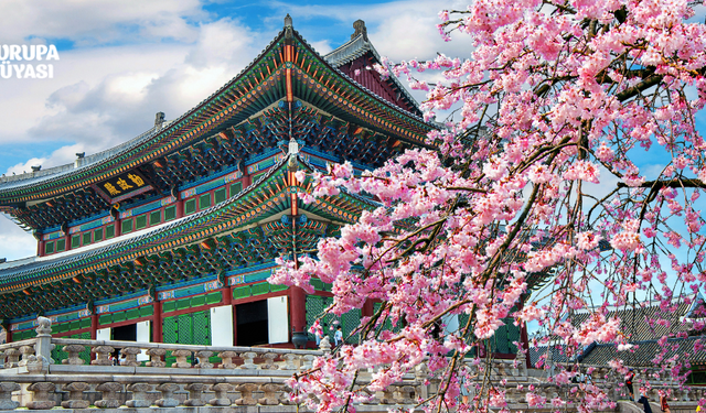 Güney Kore Vizesiz Seyahat Seçeneğiyle Dikkat Çekiyor