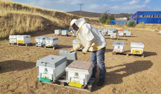 Yozgat’ta İnsan Ayağının Değmediği Dağlarda Bal Üretiyor! Kapış Kapış Gidiyor!