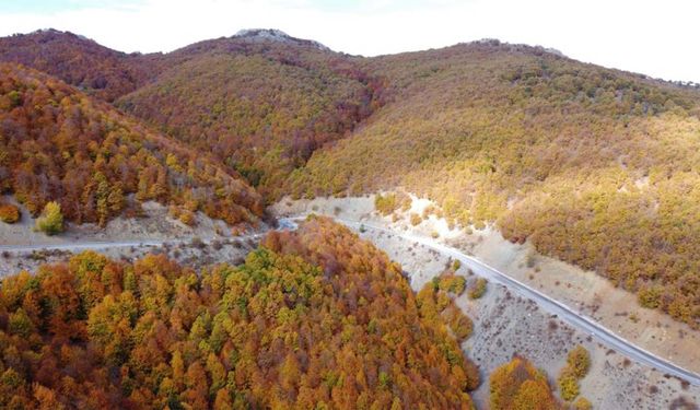 Kartpostallık Manzara! Yozgat’ın Zirvesinde Renk Cümbüşü