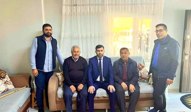 Şefaatli ulu çınarlarına sahip çıkıyor