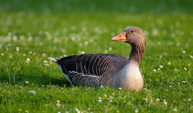 Yozgat’ta İşi Olmayanlara İş Kurduran Kurs! Üniversite Duyurdu…