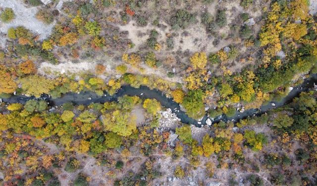 Sonbaharın Renkleri Yozgat’ın Kazankaya Kanyonu’nda Büyülüyor