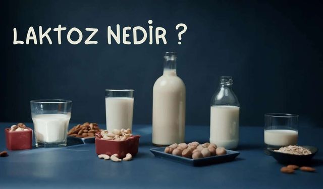 Sütte Bulunan Doğal Karbonhidrat Laktoz Hakkında Bilmeniz Gerekenler