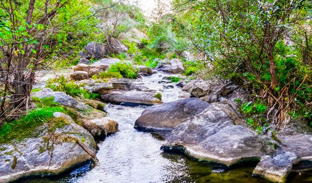 Yozgat’ta Macera Tutkunlarının Yeni Rotası: Kazankaya Kanyonu