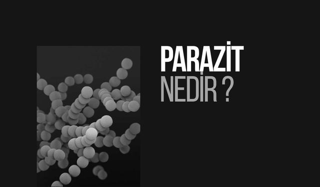 Parazit Bulaşmasını Önlemenin Yolları