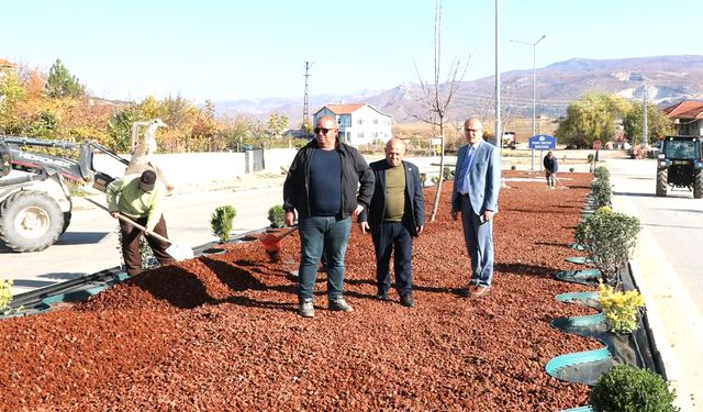 Yozgat’ın ilçesinde refüj taşları çiçek açtı