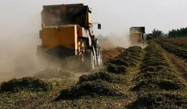 Çiftçinin Hesabına 1 Milyar TL Yattı! Aralık Ayı Destek Ödemeleri Başladı