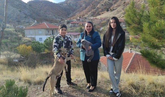 Aydıncık’ın Tek Kadın Muhtarı Köyünü Baştan Sona Yeniliyor!