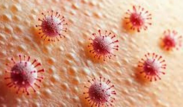 Candida Mantarı Bağışıklığı Zorluyor: Vücutta Sessizce Yayılıyor