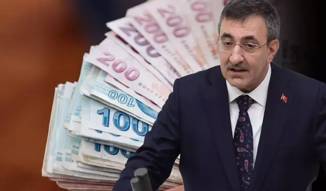 Vatandaşlık Maaşı İçin Geri Sayım Başladı: Pilot Uygulama 2026'da