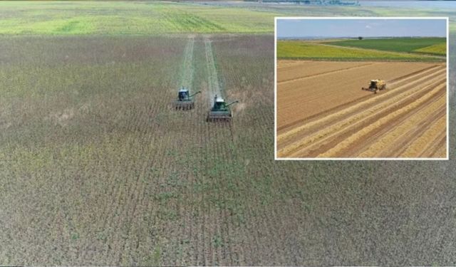 Tarımda Büyük Dönüş: Araziler Yeniden Hayat Buldu