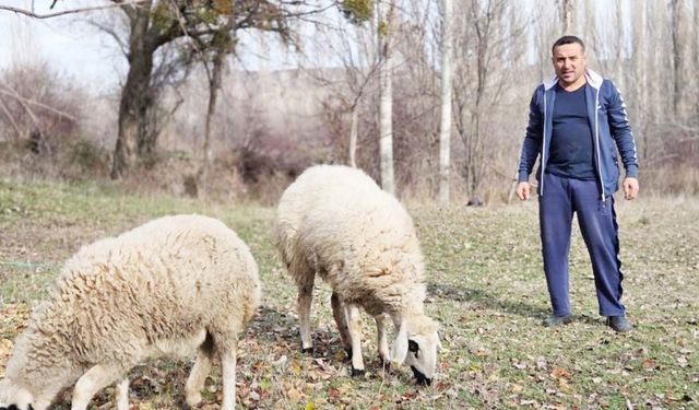 Sorgun’da Hayvancılık Destekleri Başlıyor: Başvurular Nisan’da Alınacak