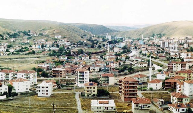 Yatırımcıların Dikkatine: Yozgat Şefaatli’de Satılık Tarla!