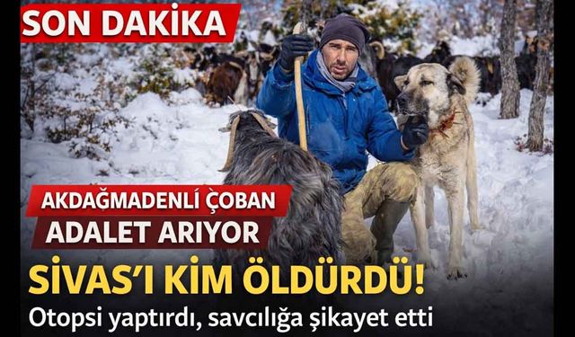 Yozgat Akdağmadeni’nde Çoban Köpeği tüfekle öldürüldü: keçi çobanı Sivas için adalet arıyor