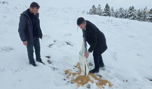 Çandır Belediyesi Kış Aylarında Doğadaki Canlılara Destek İçin Yiyecek Bıraktı