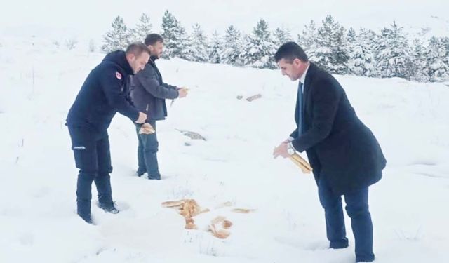 Soğuk Günlerde Sıcak Bir Dokunuş: Çandır Belediyesi Hayvanları Unutmadı