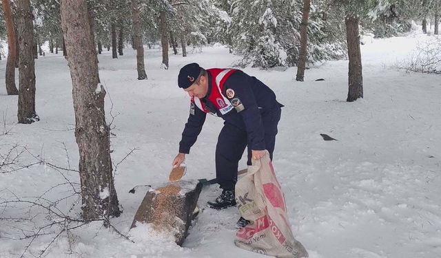 Yozgat’ta Soğuk Havada Can Dostlara Destek