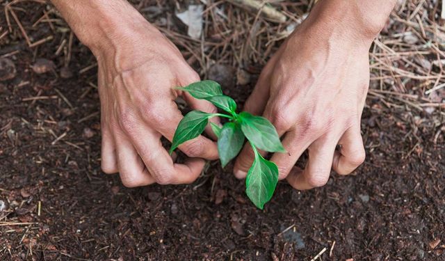 Boğazlıyan’da İhtiyaç Sahiplerine Umut Olacak: Kaymakam Kemal Bey Vakfı Kuruldu