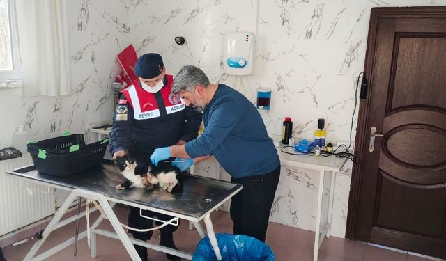 Yozgat'ta bacağı kopmak üzereydi! İmdadına  Jandarma yetişti