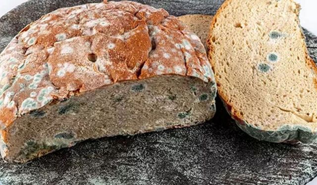 Küflü Diye Atmaya Kıyamıyoruz Ama… Bu Gıdalar Asla Tüketilmemeli