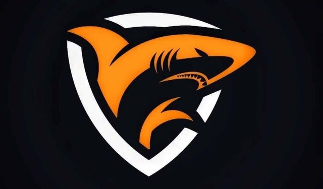 SHARKNECO’dan Dijitalde Güven Odaklı Yeni Model