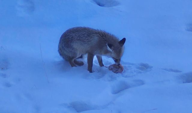 Yozgat Valiliği'nde sabah misafiri!