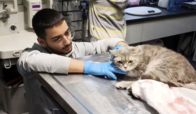 Yozgat Bozok Üniversitesi Boğazlıyan MYO’da 3+1 Modeliyle uygulamalı eğitim dönemi başladı