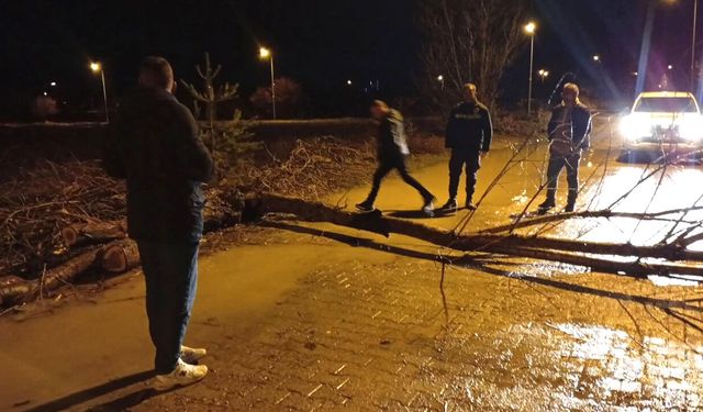 Son Dakika: Yozgat’ın o ilçesinde fırtına ağaçları devirdi