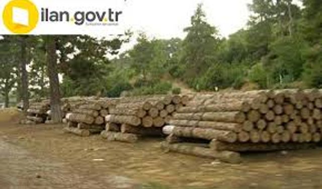 ORMAN EMVALİ İSTİFLEME HİZMETİ ALINACAKTIR