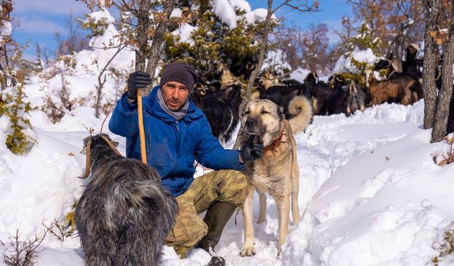 Yozgat’ta Köpeği Vurularak Öldürülen Vatandaş Sorumluların Bulunmasını İstiyor