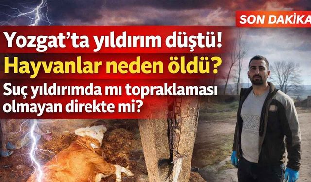 Yozgat Sarıkaya’da ahıra yıldırım düştü: hayvanlar telef oldu!
