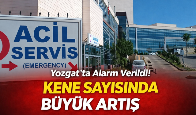 Yozgat’ta Alarm Verildi! Kene Sayısında Büyük Artış