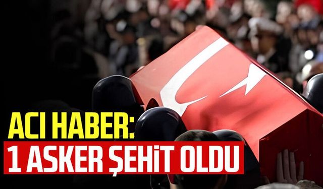 MSB Açıkladı! 1 Asker Şehit Oldu