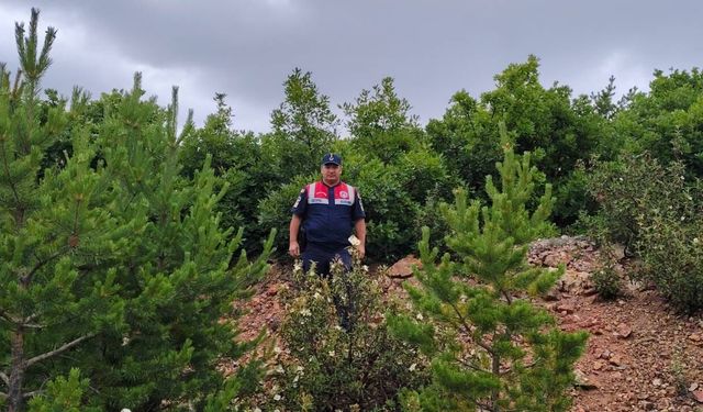 Yozgat’ta Doğa Denetimi! Jandarma Ormanlık Alanlarda Kontrol Yaptı