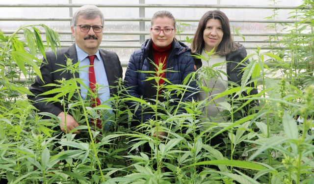 Yozgat Bozok Üniversitesi'nden bilimsel bir başarı daha